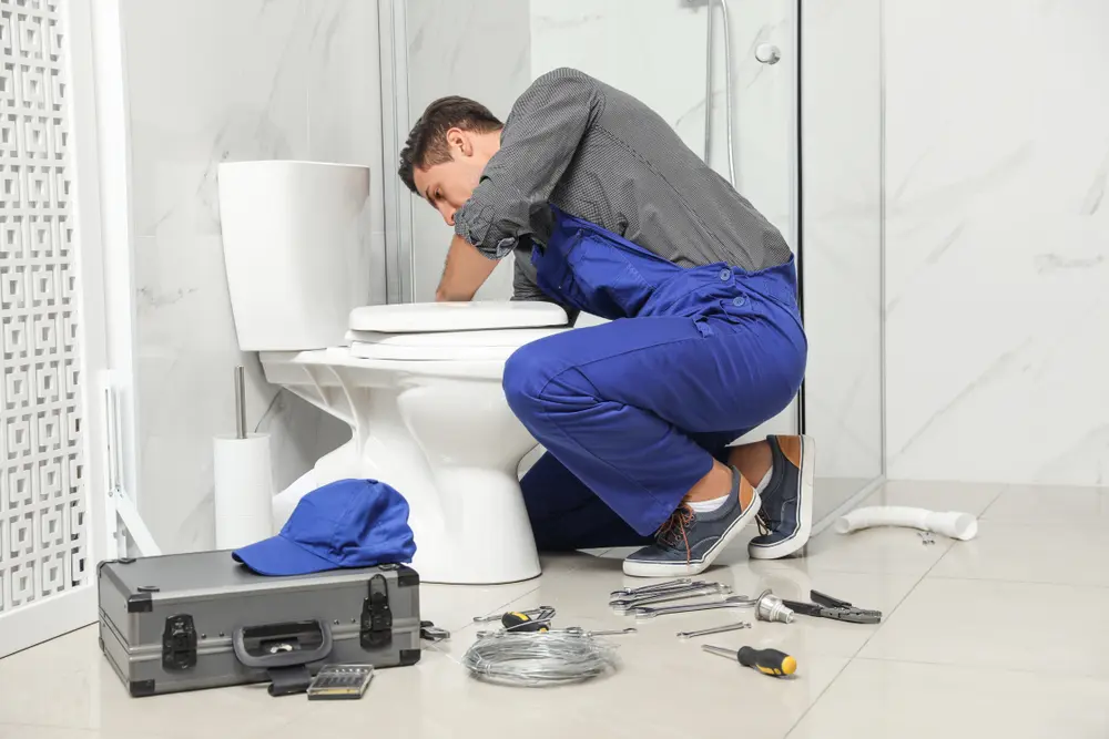 Toilet Installation in Inglewood